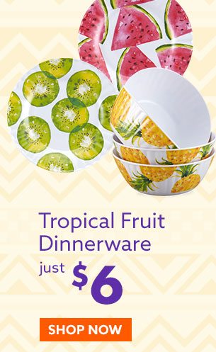 Outdoor Dinnerware $6