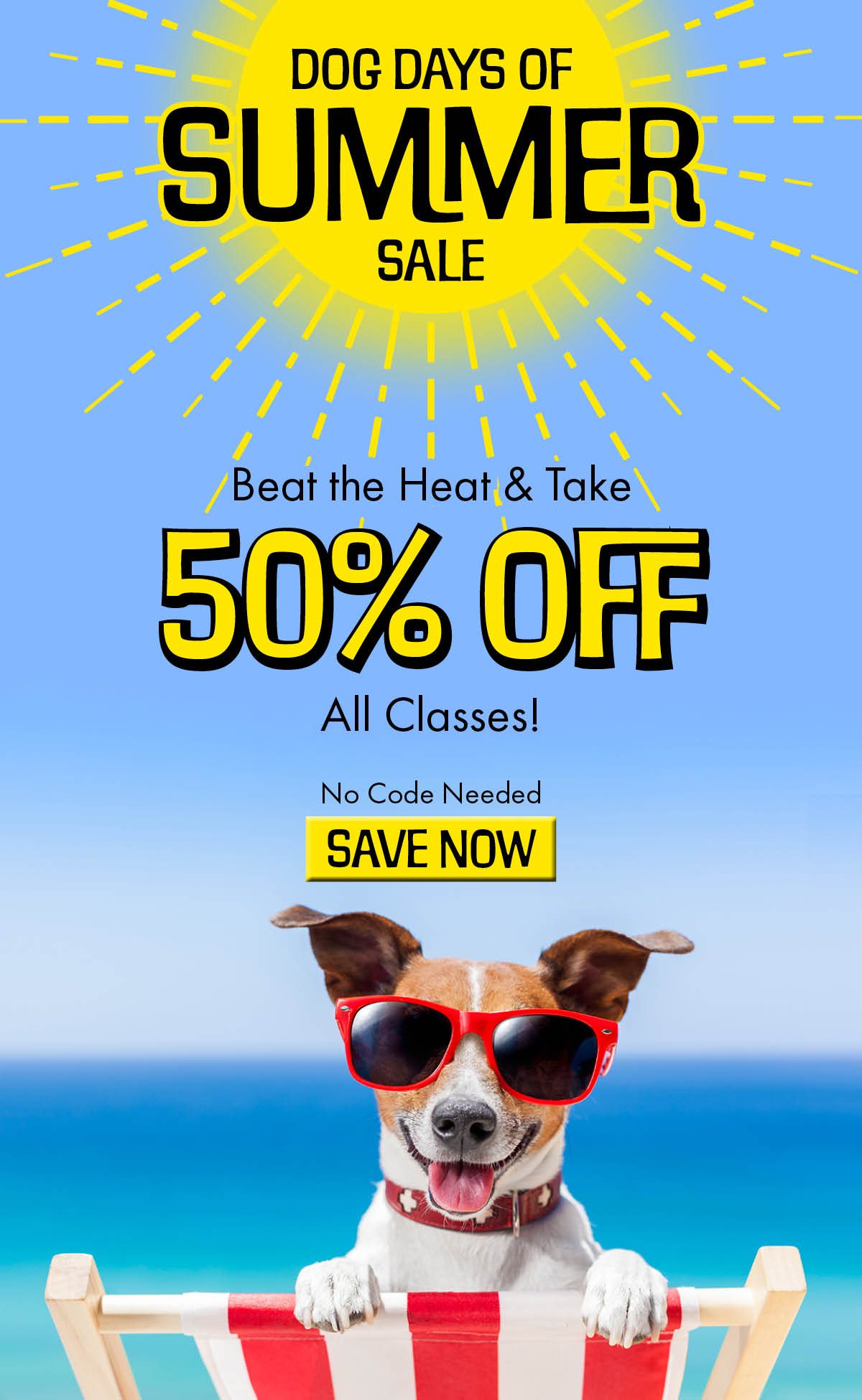 Dog Days of Summer Sale Beat the Heat & Take 50% Off All Classes! No Code Needed