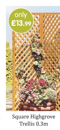 Square Highgrove Trellis 0.3m