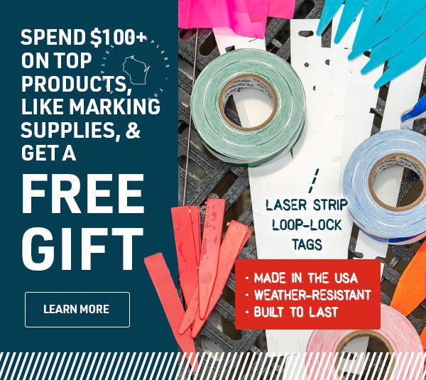 Spend $100+ and Get a Free Gift