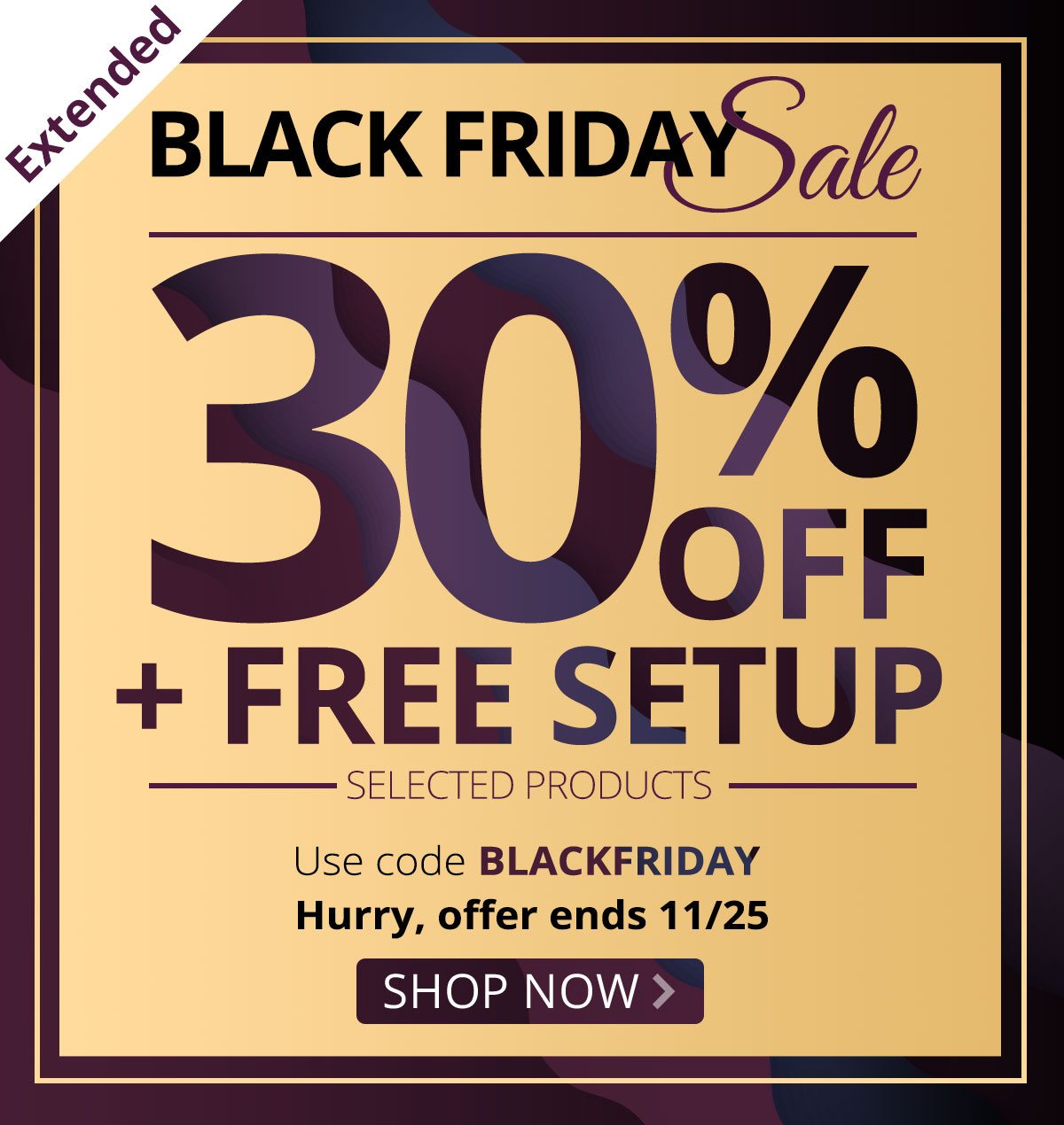 Black Friday Sale 30% Off Plus FREE Setup!