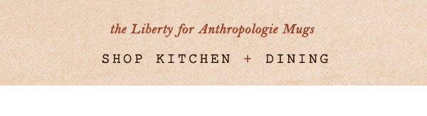 Shop kitchen.