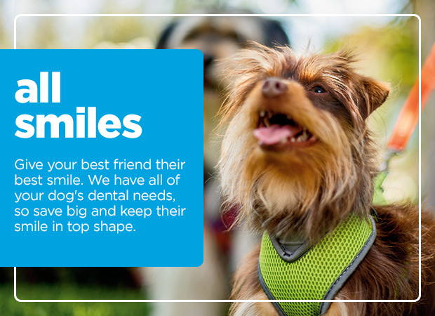 All smiles. Give your best friend their best smile. We have all of your dog's dental needs, so save big and keep their smile in top shape.