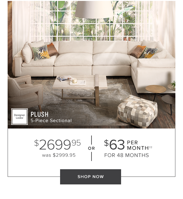 Plush 5-Piece Sectional. $2699.95 or $63 per month for 48 months. Shop Now.