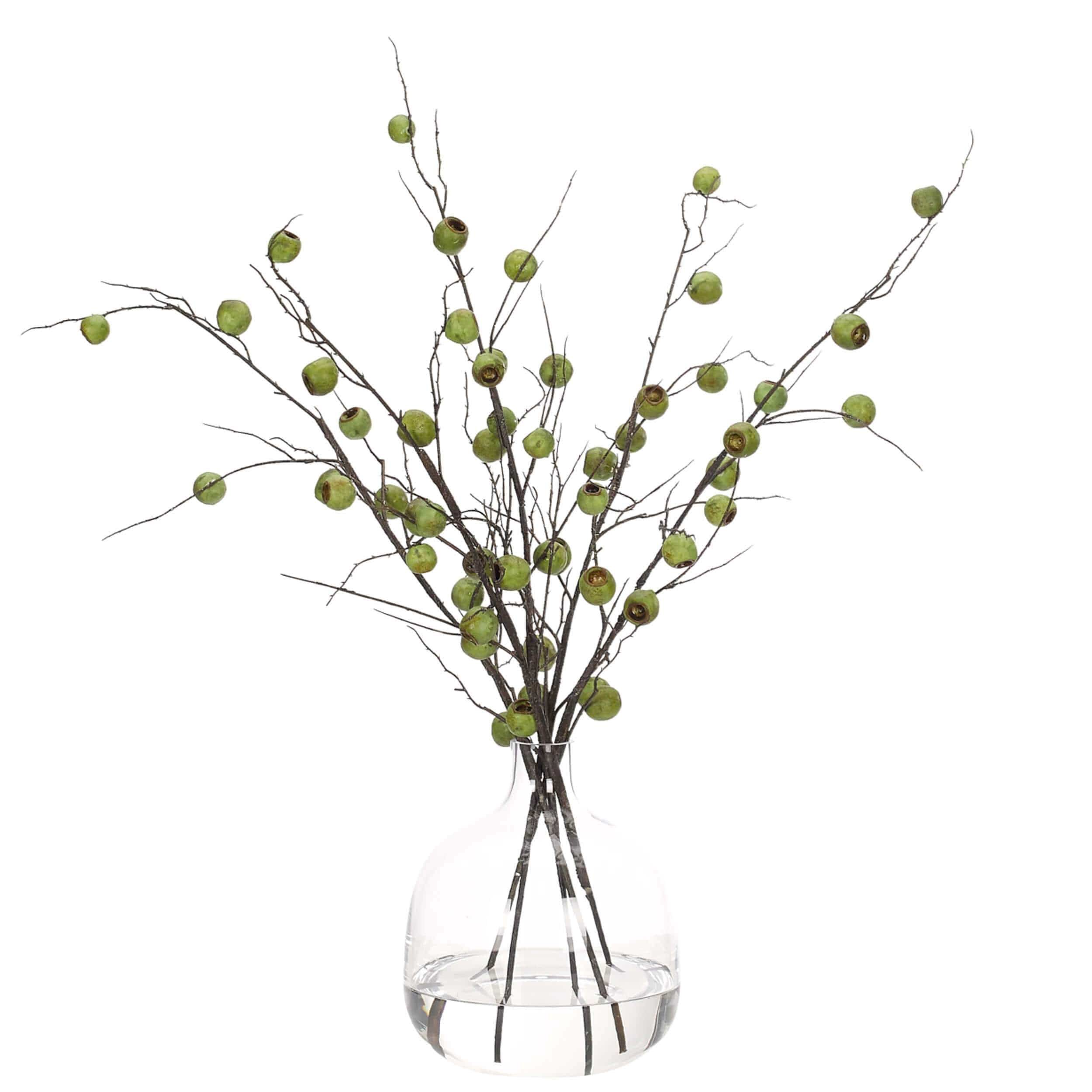 Image of Eucalyptus Pods in Glass Vase