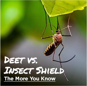 Deet vs Insect Shield