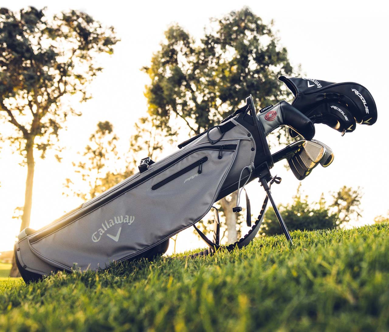 Par-3 Double Strap Stand Bag