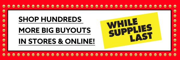 Shop hundreds more big buyouts in stores & online!