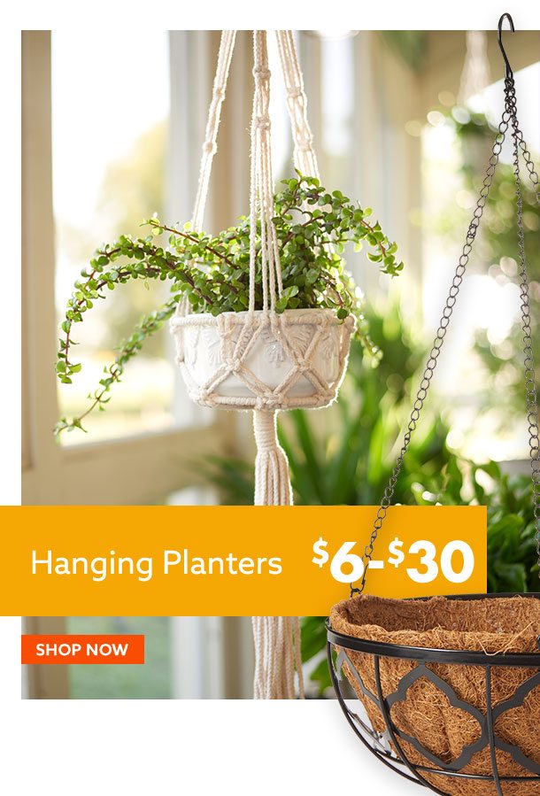 Hanging Planters $6-$30