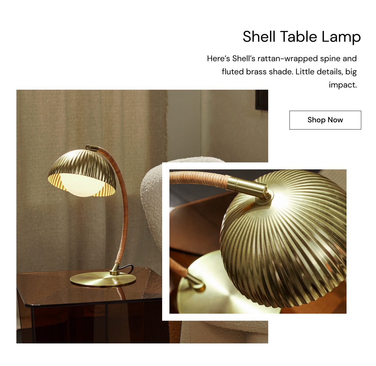 Shell Lamp