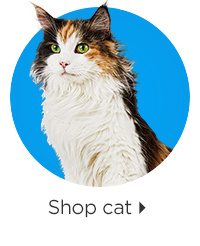 Shop cat.