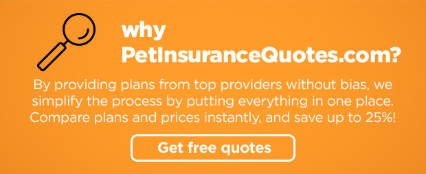 Why PetInsuranceQuotes.com? By providing plans from top providers without bias, we simplify the process by putting everything in one place. Compare plans and prices instantly, and save up to 25%! Get free quotes.