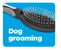 Shop dog grooming >