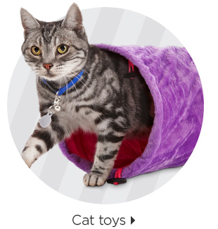 Cat toys > 