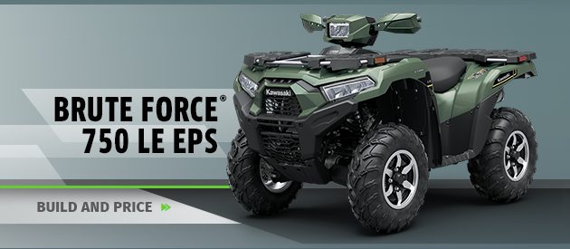 BRUTE FORCE® 750 LE EPS