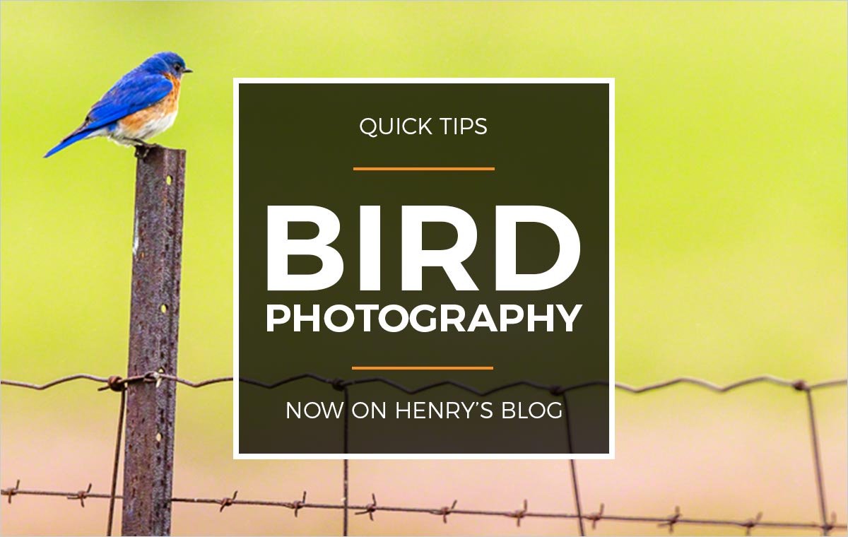 Henry's Blog