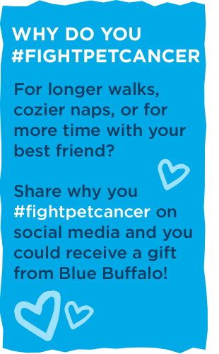 Why do you #FightPetCancer.