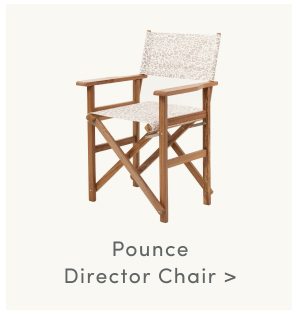 Pounce Director Chair