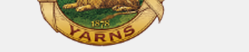 LION BRAND YARN