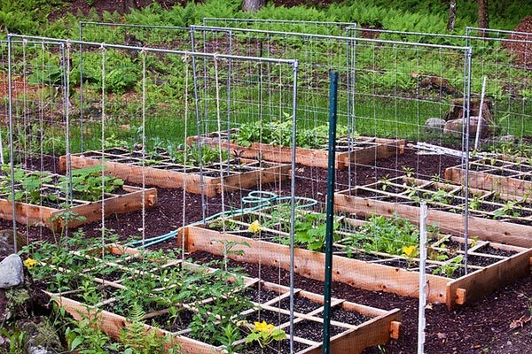 Squash the Winter Blues! Put Pen to Paper & Start Planning Your Spring Garden