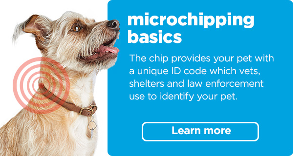 Microchipping basics. The chip provides your pet with a unique ID code which vets, shelters and law enforcement use to identify your pet. Learn more. 
