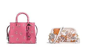 Coach Women's Bags