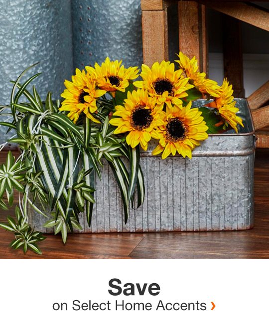 Save on Select Home Accents