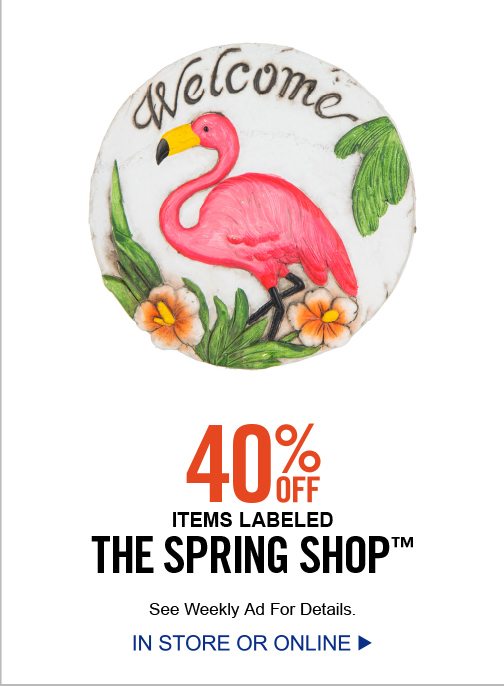 S03_Spring_Shop