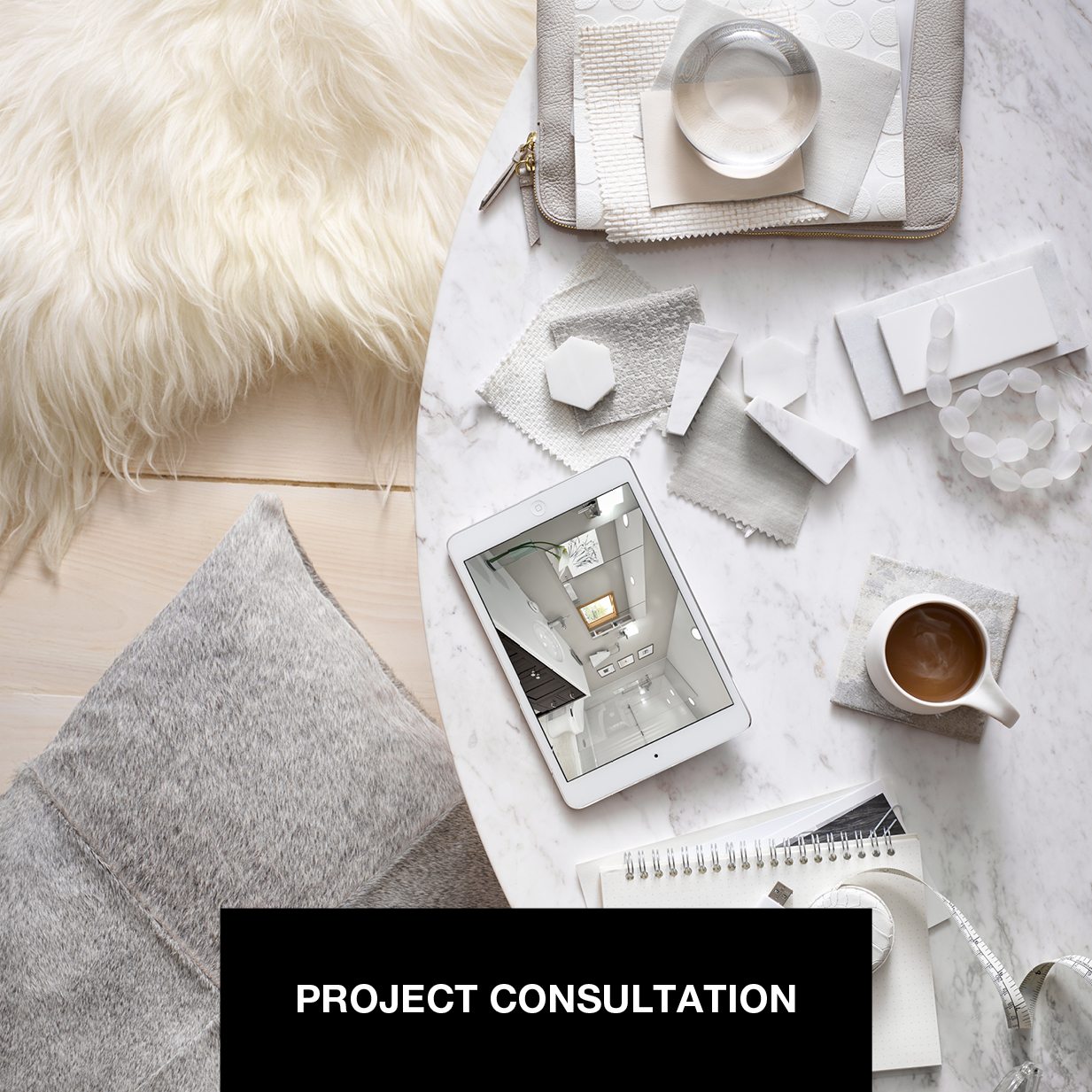PROJECT CONSULTATION