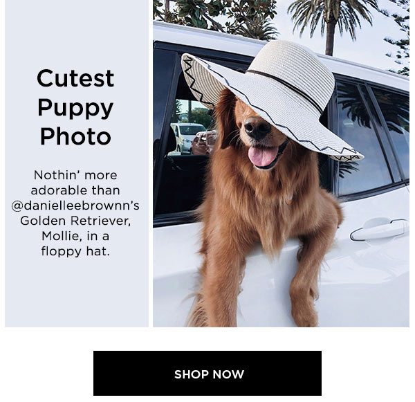 Cutest Puppy Photo Nothin' more adorable than @danielleebrownn's Golden Retriever, Mollie, in a floppy hat. SHOP NOW >