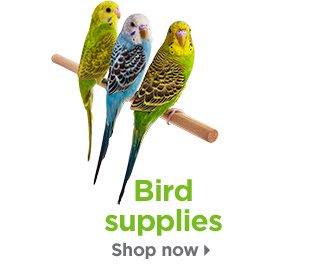 Bird supplies. Shop now.