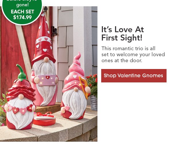 It’s Love At First Sight! This romantic trio is all set to welcome your loved ones at the door. Shop Valentine Gnomes