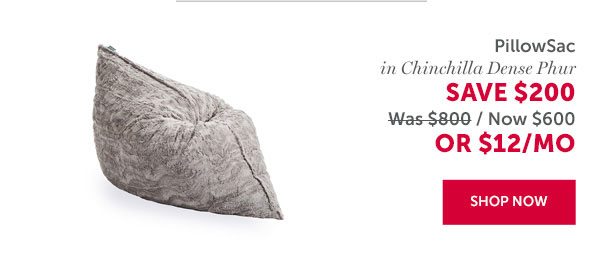 PillowSac in Chinchilla Dense Phur | SAVE $200 | SHOP NOW >>