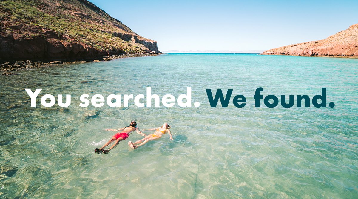 YOU SEARCHED - WE FOUND - IMG