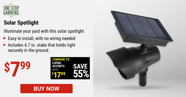 Solar Spot Light