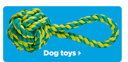 Dog toys > 
