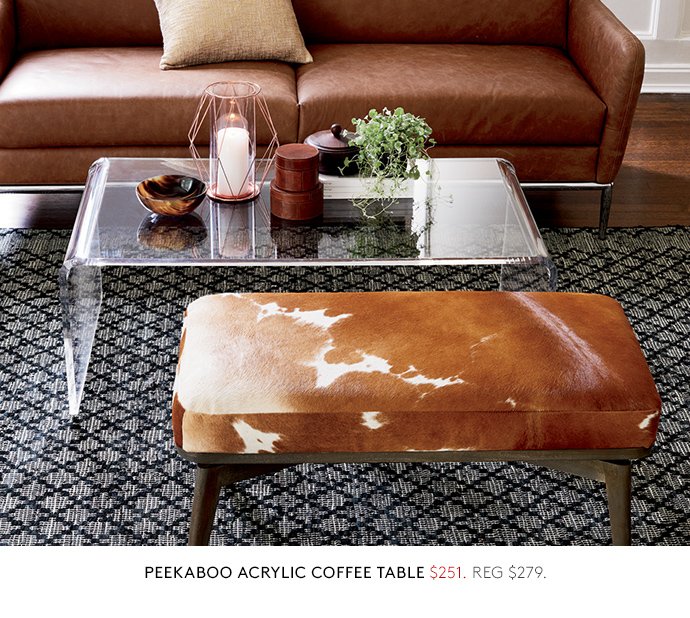 peekaboo acrylic coffee table