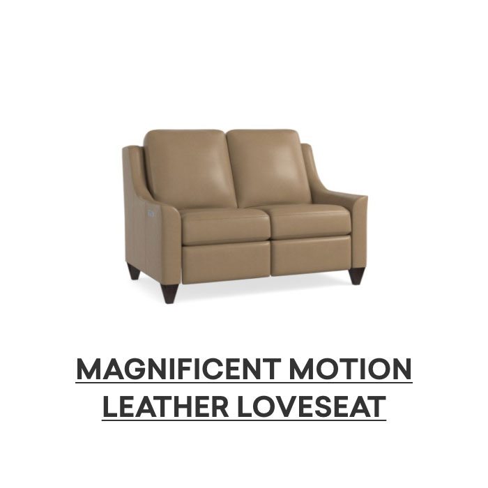 Magnificent Motion Leather Loveseat. Shop now.