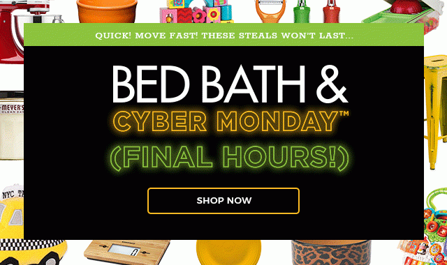 Quick! Move Fast! These Steals Won't Last... Bed Bath & Cyber Monday™ (Final Hours!)