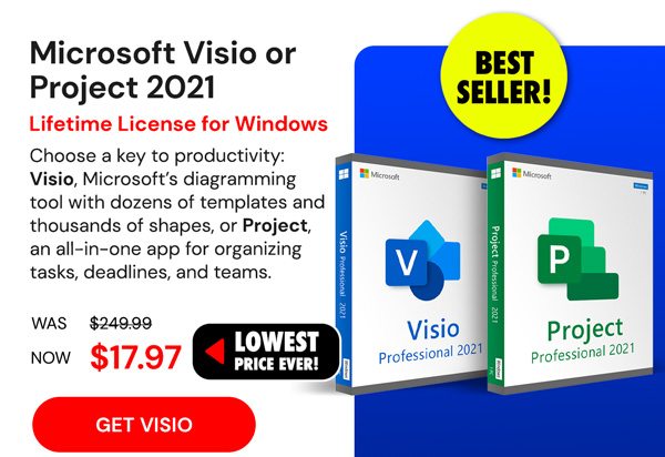 Microsoft Visio 2021 Professional for Windows