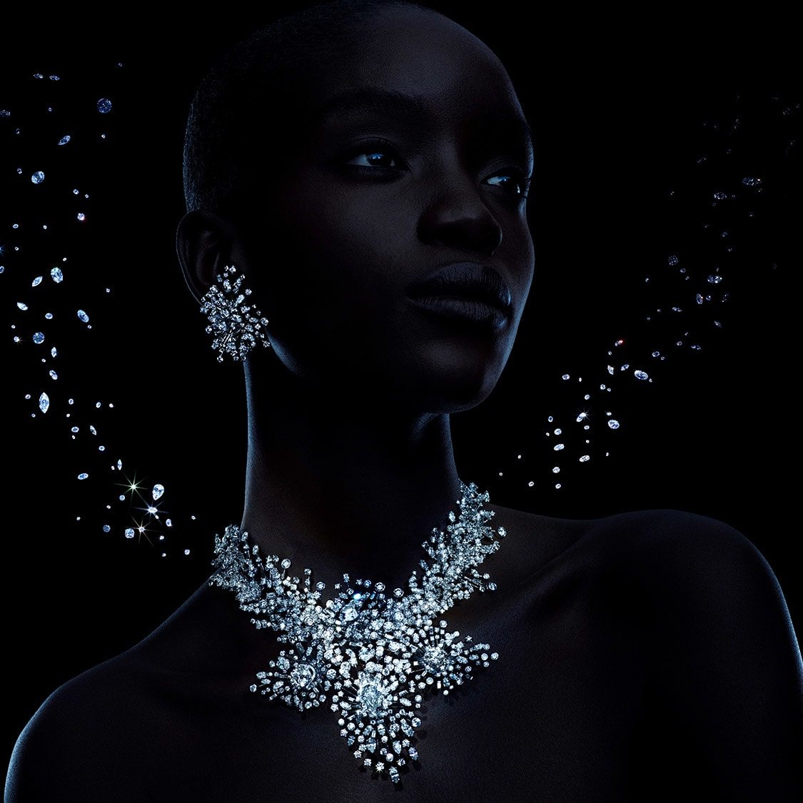 The new Galaxy Collection