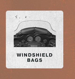 Windshield Bags