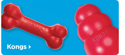 Kongs 