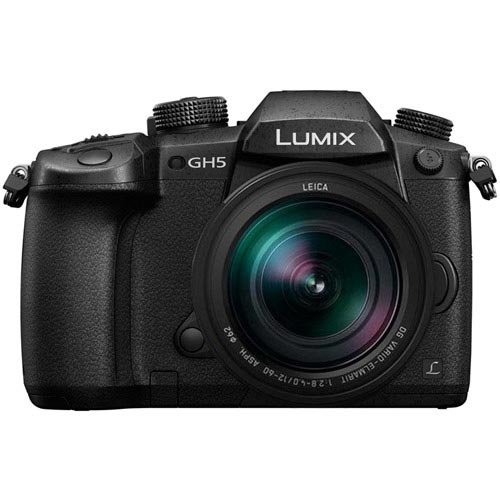 PANASONIC LUMIX GH5