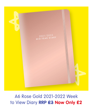 A6 Rose Gold 2021-2022 Week to View Diary