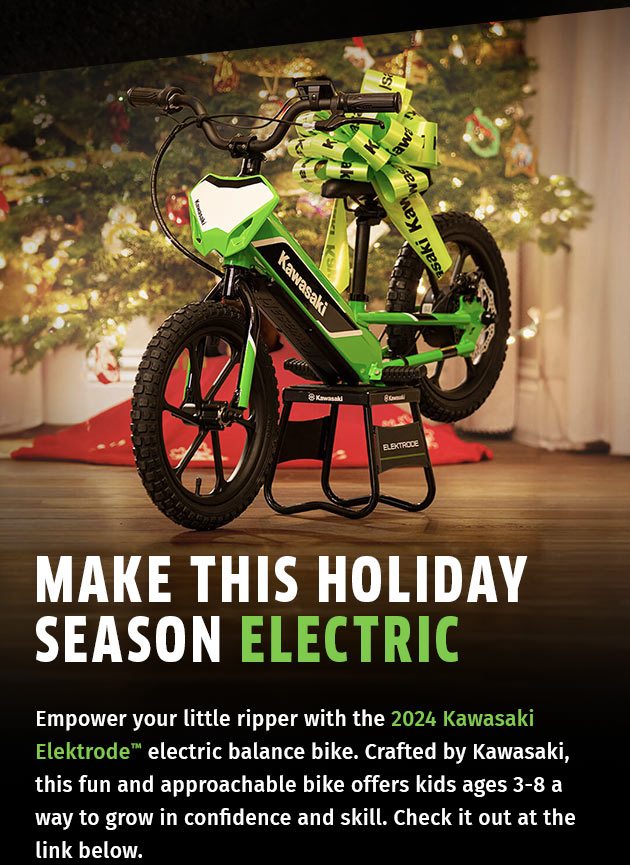 MAKE THIS HOLIDAY SEASON ELECTRIC