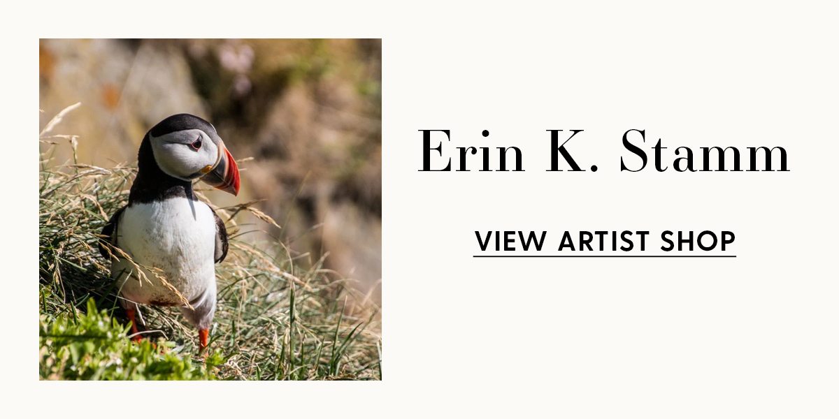 Erin K. Stamm | VIEW ARTIST SHOP