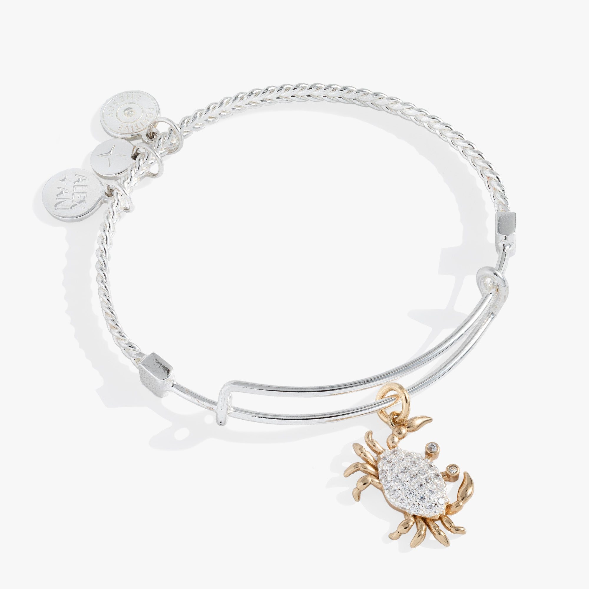 Image of Textured Crab Charm Bangle