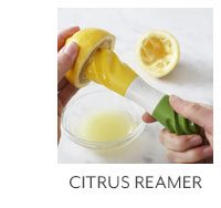 Citrus Reamer