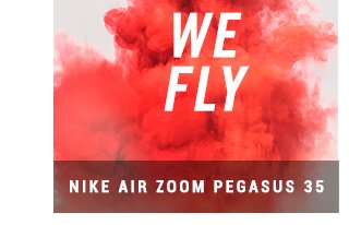 Nike Pegasus